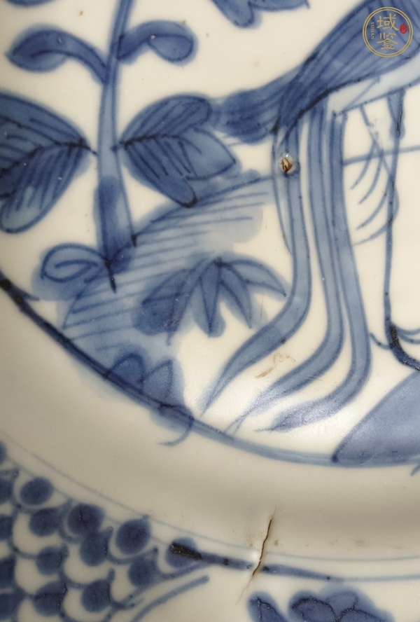 古玩陶瓷明晚·青花鳳凰牡丹紋盤真品鑒賞圖