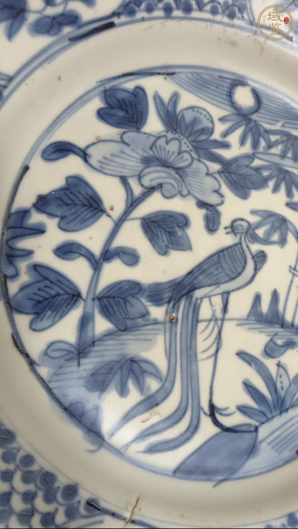 古玩陶瓷明晚·青花鳳凰牡丹紋盤真品鑒賞圖