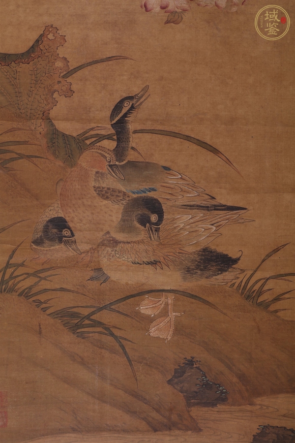 古玩字畫芙蓉真品鑒賞圖