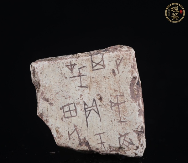 古玩杂项骨质刻甲骨文真品鉴赏图