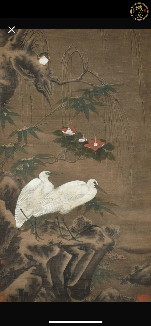 古玩字畫佚名花鳥真品鑒賞圖