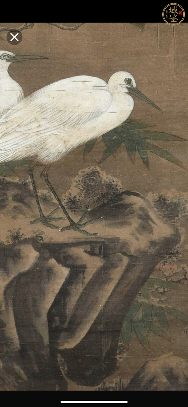 古玩字畫佚名花鳥真品鑒賞圖