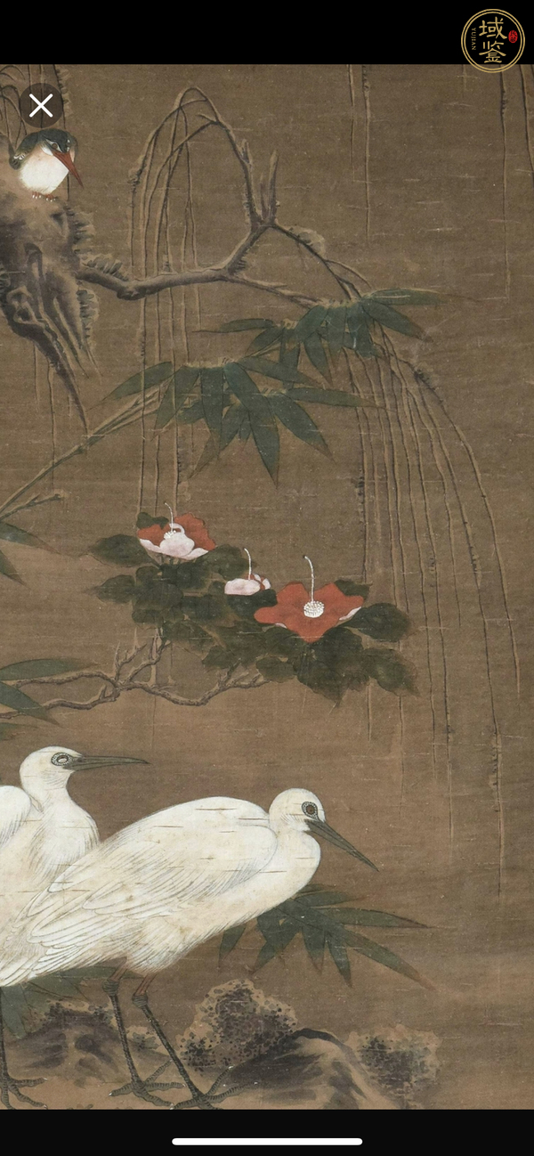 古玩字畫佚名花鳥真品鑒賞圖