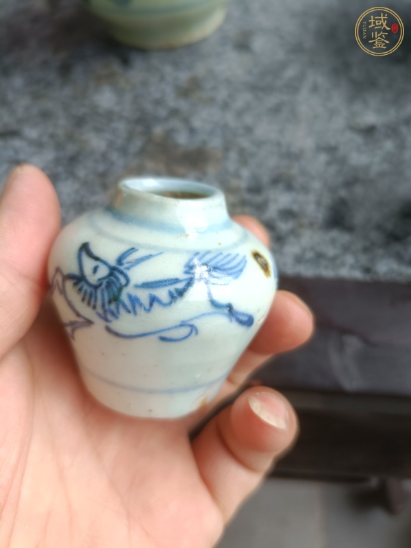 古玩陶瓷瑞獸青花小罐真品鑒賞圖