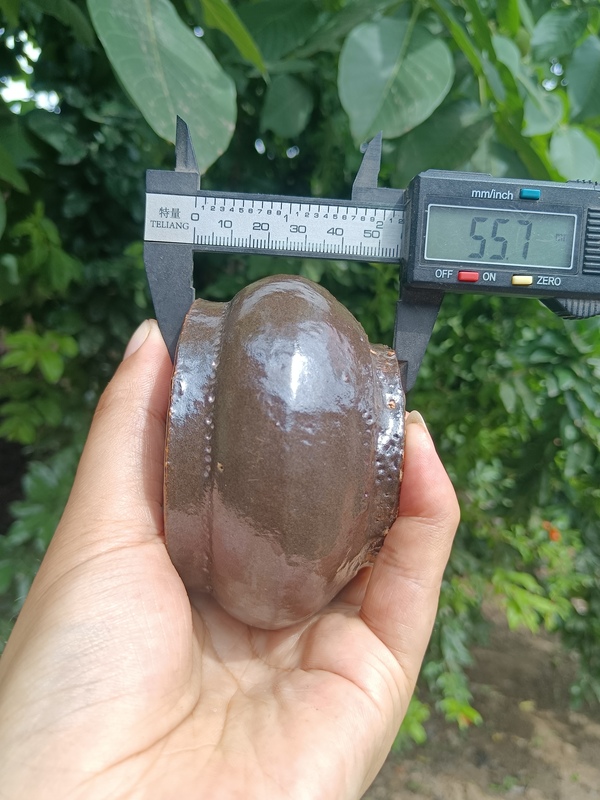 古玩陶瓷明~褐釉香爐【精美】拍賣,當前價格588元