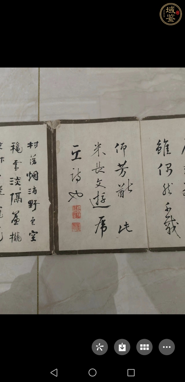 古玩字畫佚名書法花卉冊頁真品鑒賞圖