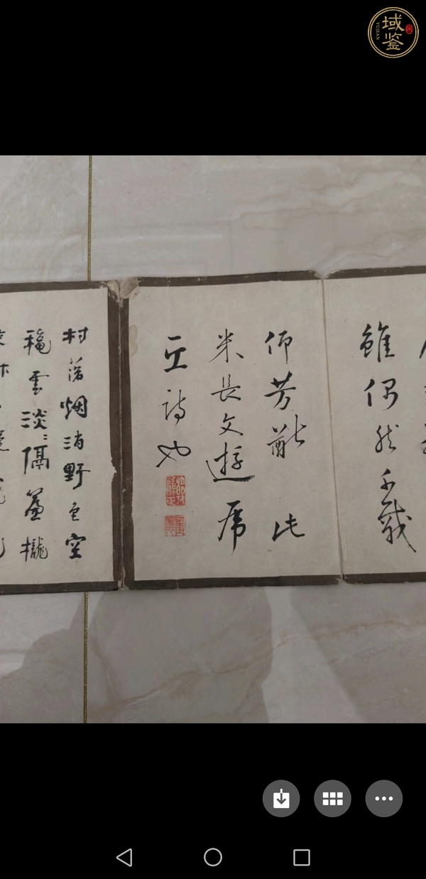 古玩字畫佚名書法花卉冊頁真品鑒賞圖