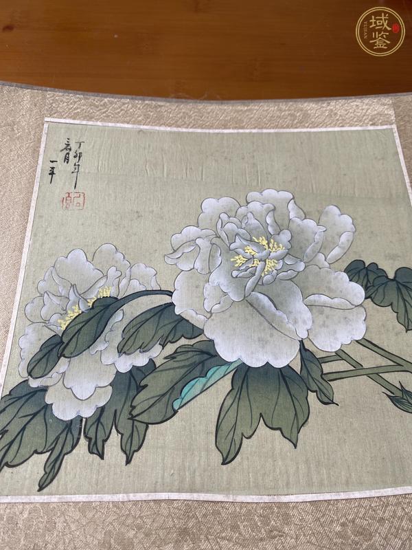 古玩字畫花卉幾幀真品鑒賞圖