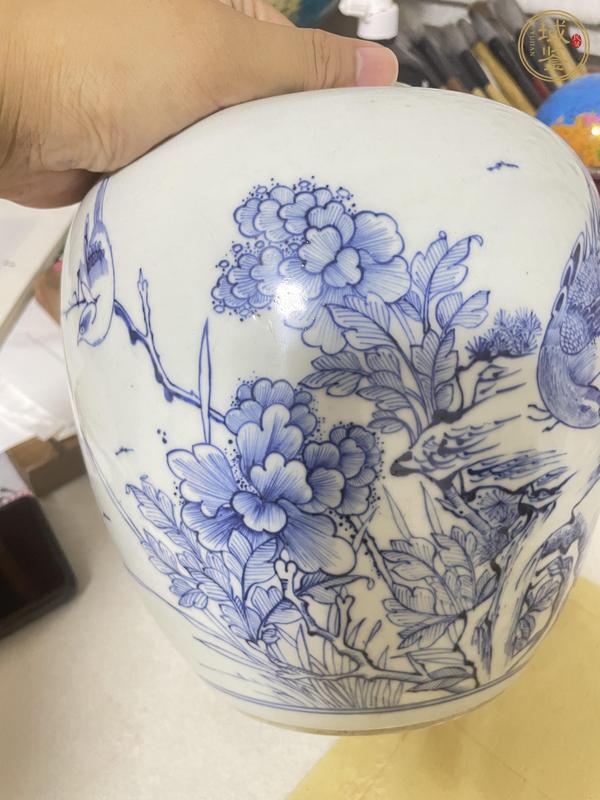 古玩陶瓷青花罐真品鑒賞圖