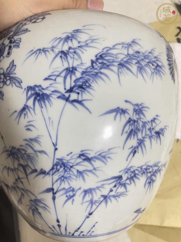 古玩陶瓷青花罐真品鑒賞圖