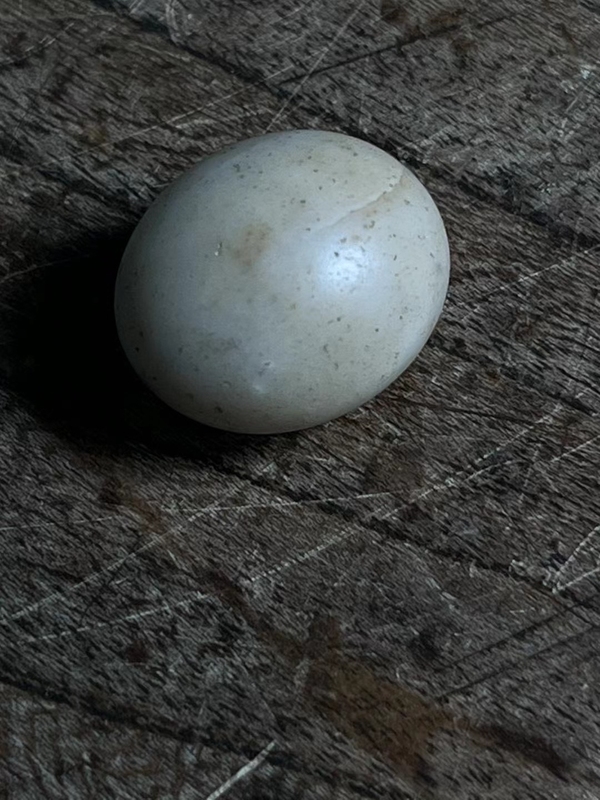 古玩陶瓷隋唐.滑石蛋【三星堆同款】拍賣,當前價格1000元