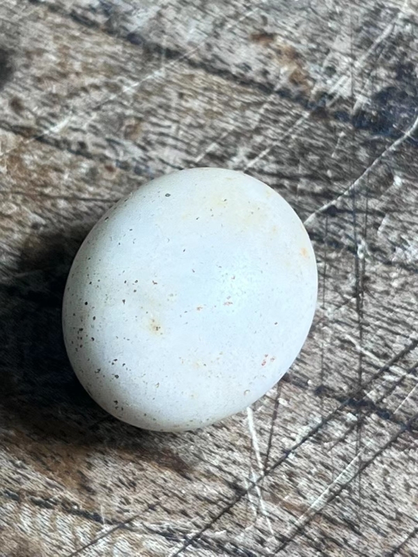 古玩陶瓷隋唐.滑石蛋【三星堆同款】拍賣,當前價格1000元