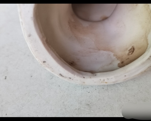 古玩陶瓷德化白瓷觀音像拍賣,當前價格1900元