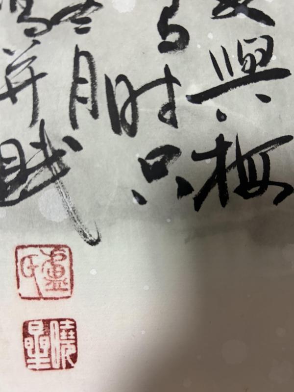 古玩字畫盧曉星老師梅花精品《情意真》拍賣，當前價格980元