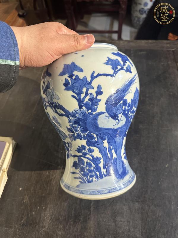 古玩陶瓷青花花鳥紋罐真品鑒賞圖