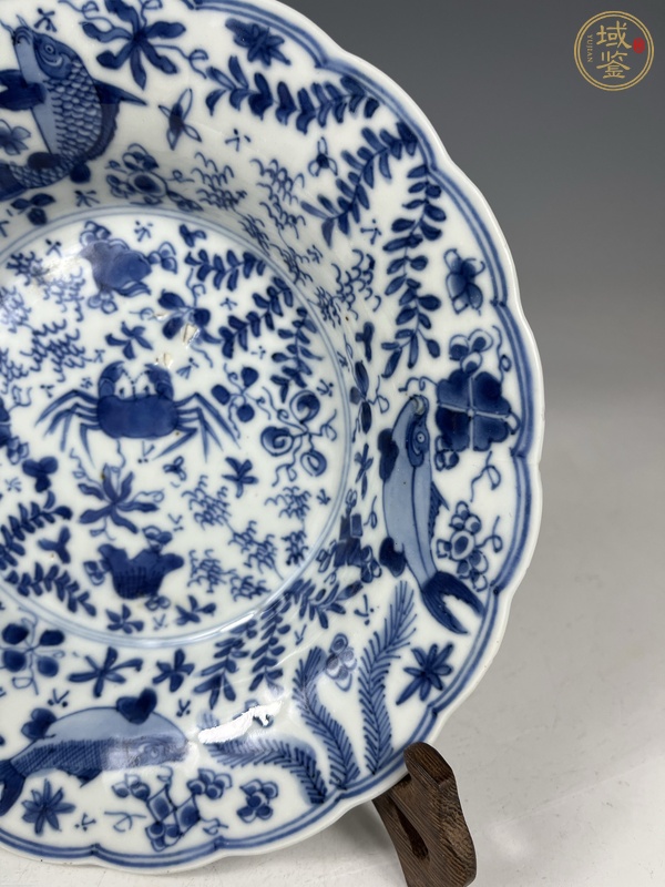 古玩陶瓷康熙·青花魚蟹紋花口盤真品鑒賞圖