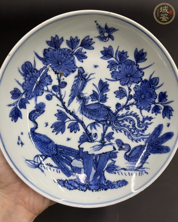 古玩陶瓷青花鳳穿牡丹圖盤真品鑒賞圖