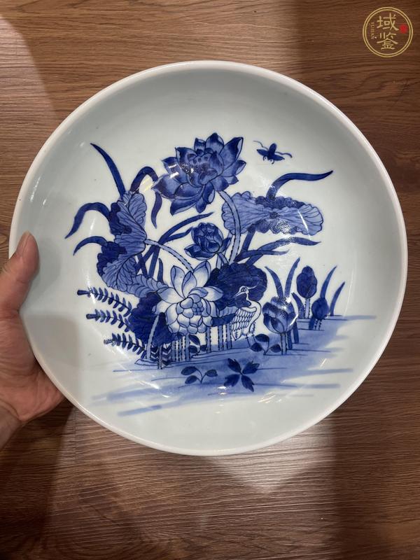 古玩陶瓷荷塘清趣圖青花盤真品鑒賞圖