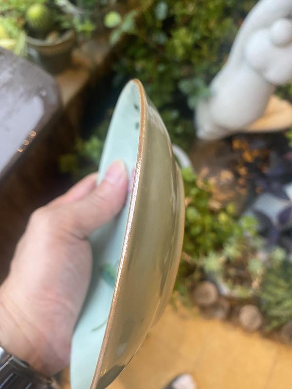 古玩陶瓷豆青釉粉彩荷花紋盤拍賣，當(dāng)前價(jià)格4820元