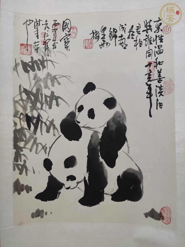 古玩字畫周仁輝呂君柏 國寶熊貓真品鑒賞圖