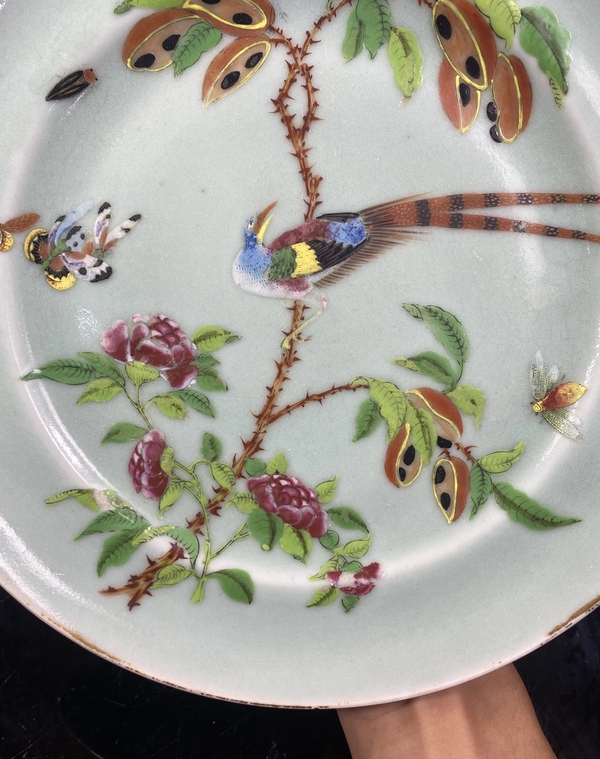 古玩陶瓷豆青釉廣彩花鳥紋折沿盤拍賣,當前價格4500元