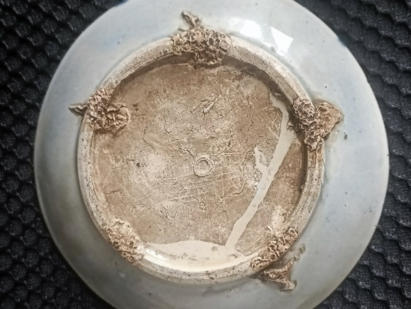 古玩陶瓷清.青花靈芝紋盤一對拍賣,當前價格98元