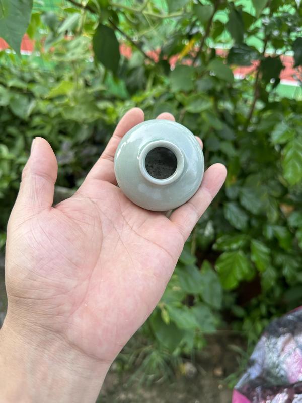 古玩陶瓷元代龍泉青瓷粉青釉水盂(館藏頂級(jí)精品)拍賣,當(dāng)前價(jià)格13800元