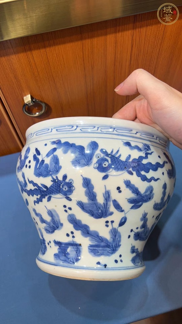 古玩陶瓷清中青花魚(yú)藻紋卷缸真品鑒賞圖