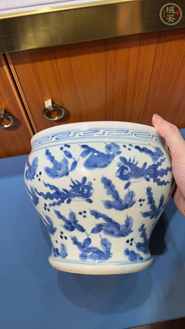 古玩陶瓷清中青花魚(yú)藻紋卷缸真品鑒賞圖