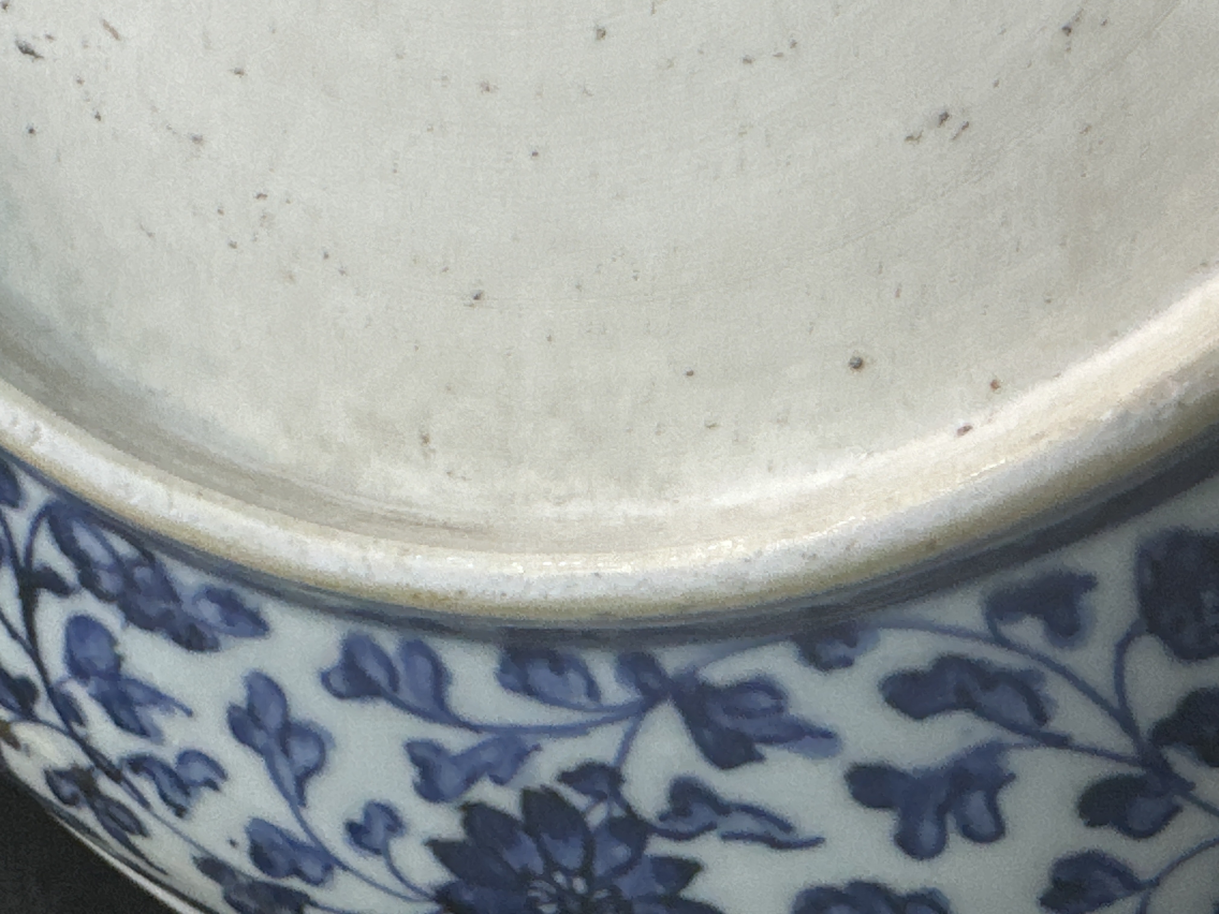 域鉴古玩】青花一把莲纹盘，注意品相鉴定结果_青花一把莲纹盘