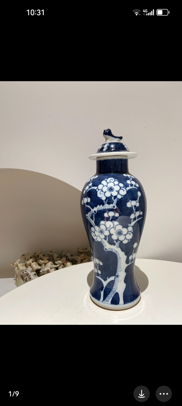 古玩陶瓷青花留白冰梅紋蓋瓶拍賣(mài),當(dāng)前價(jià)格3899元