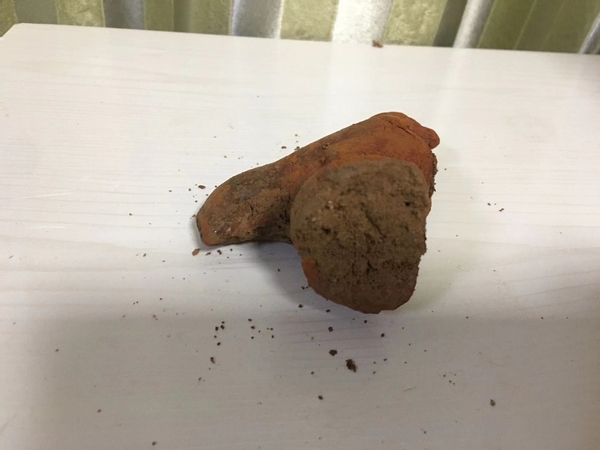古玩陶瓷隋唐·紅陶公雞拍賣,當前價格788元