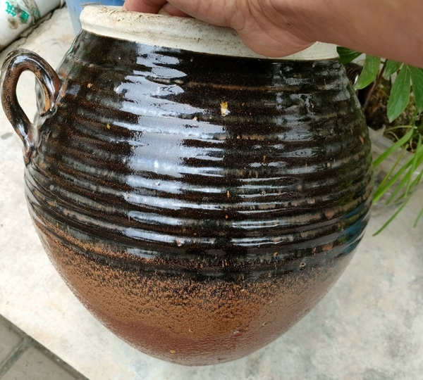 古玩陶瓷磁州窯醬釉雙系罐拍賣,當(dāng)前價(jià)格2800元