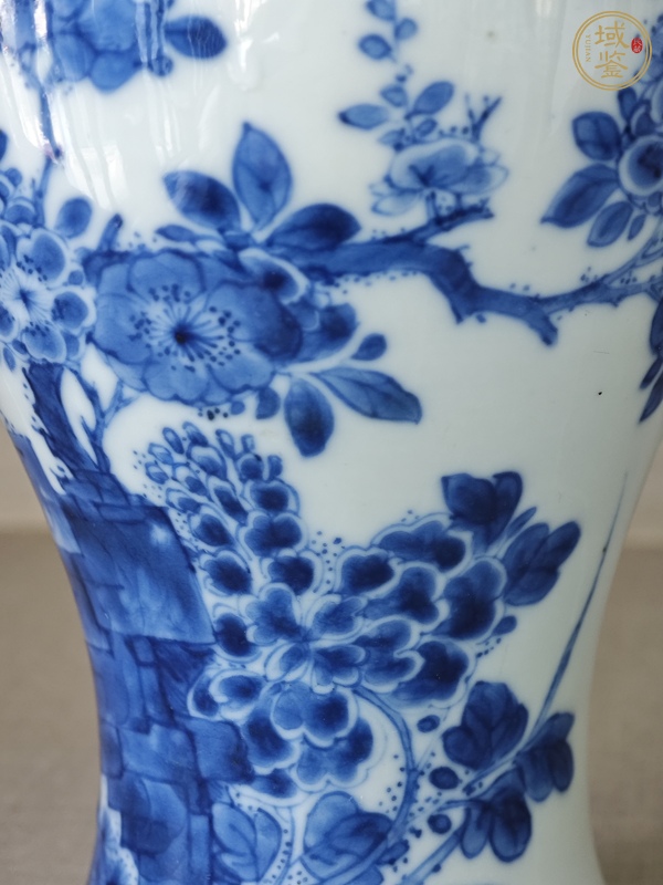 古玩陶瓷康熙·青花錦雞牡丹紋雞腿瓶真品鑒賞圖