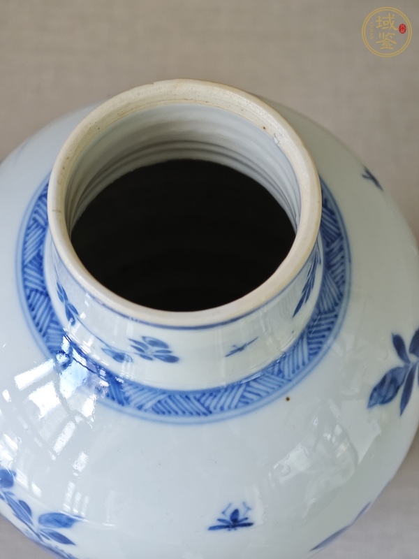 古玩陶瓷康熙·青花錦雞牡丹紋雞腿瓶真品鑒賞圖