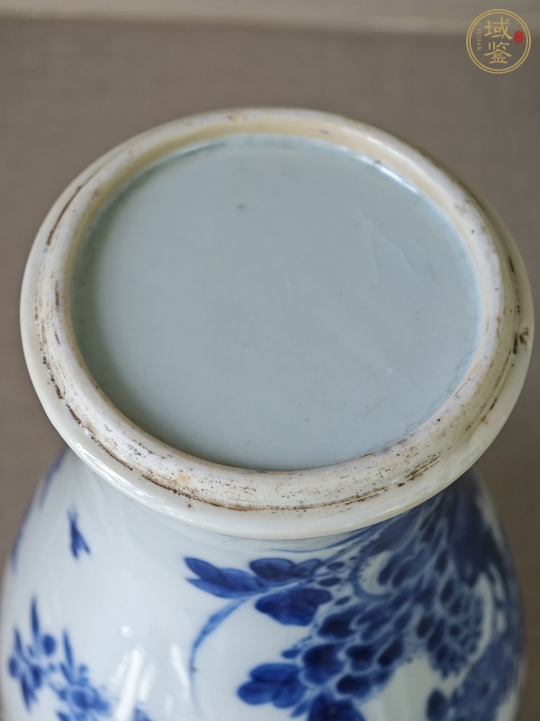 古玩陶瓷康熙·青花錦雞牡丹紋雞腿瓶真品鑒賞圖