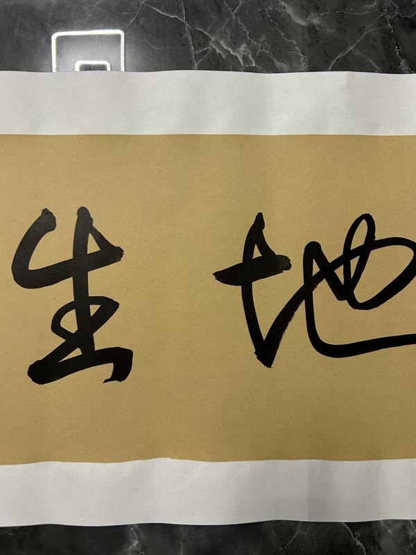 古玩字畫張東林老師《寶地生金》拍賣,當前價格378元