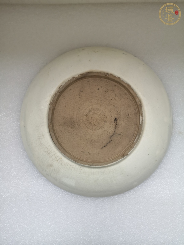 古玩陶瓷清末民初·青花荷花紋盤真品鑒賞圖