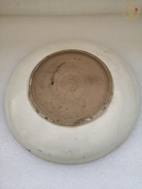 古玩陶瓷清末民初·青花荷花紋盤真品鑒賞圖