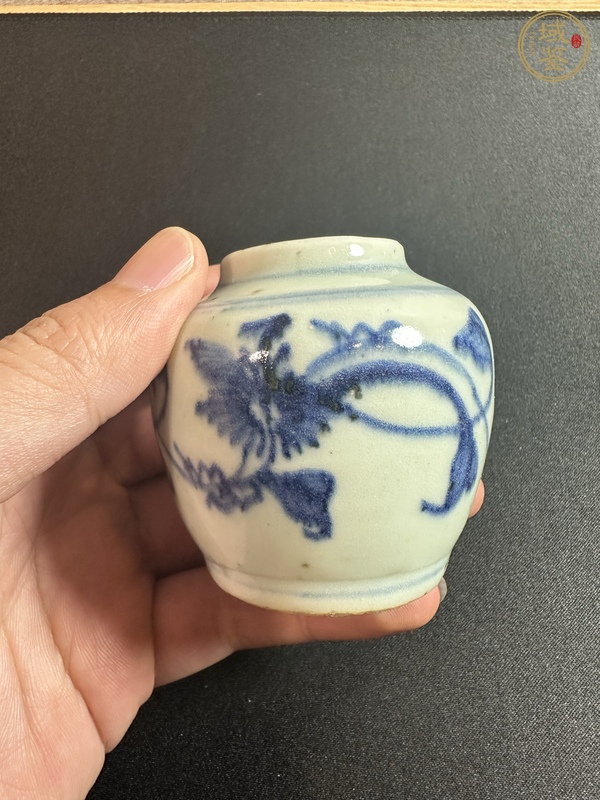 古玩陶瓷青花纏枝花卉紋小罐真品鑒賞圖