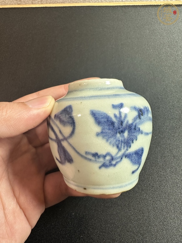 古玩陶瓷青花纏枝花卉紋小罐真品鑒賞圖