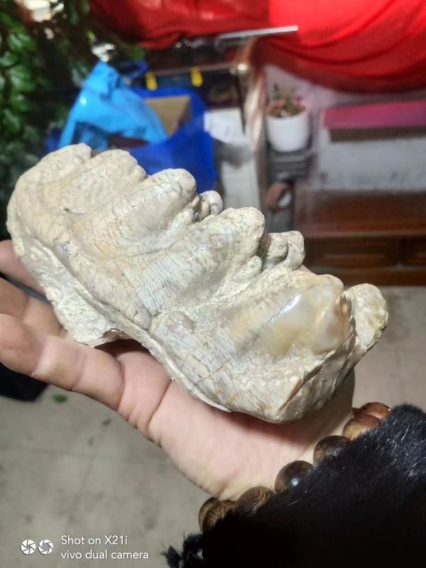 古玩玉器遠(yuǎn)****拍賣，當(dāng)前價(jià)格1680元