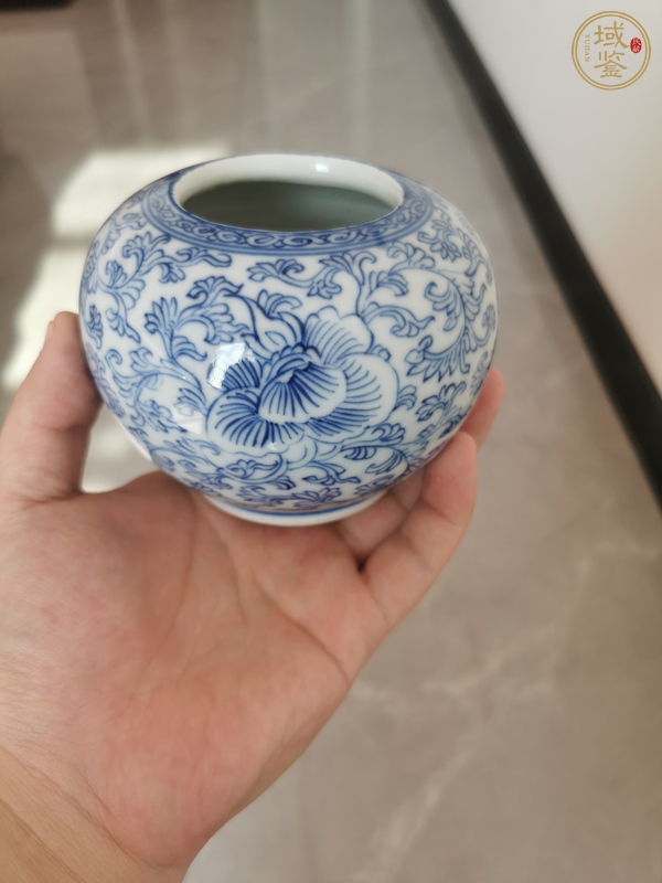 古玩陶瓷花卉紋青花水呈真品鑒賞圖