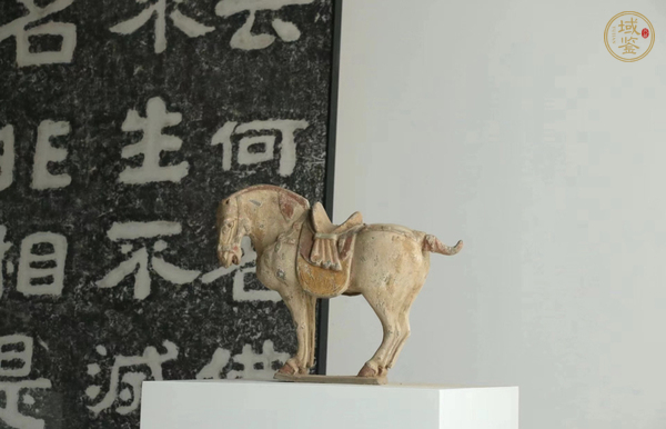 古玩陶瓷彩陶馬真品鑒賞圖