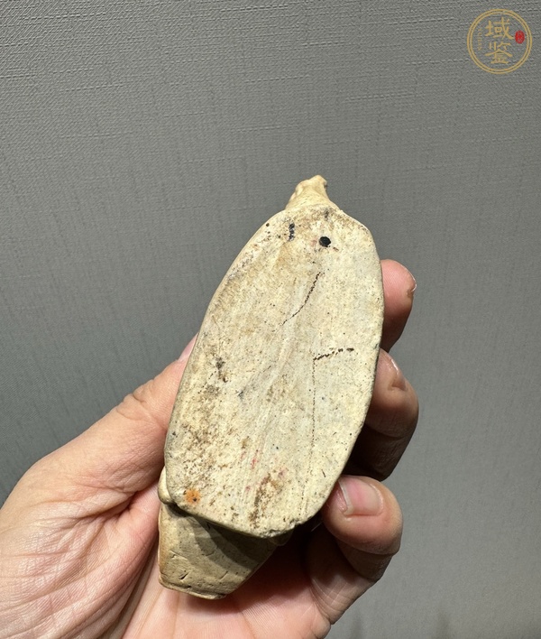 古玩陶瓷魚形硯滴真品鑒賞圖