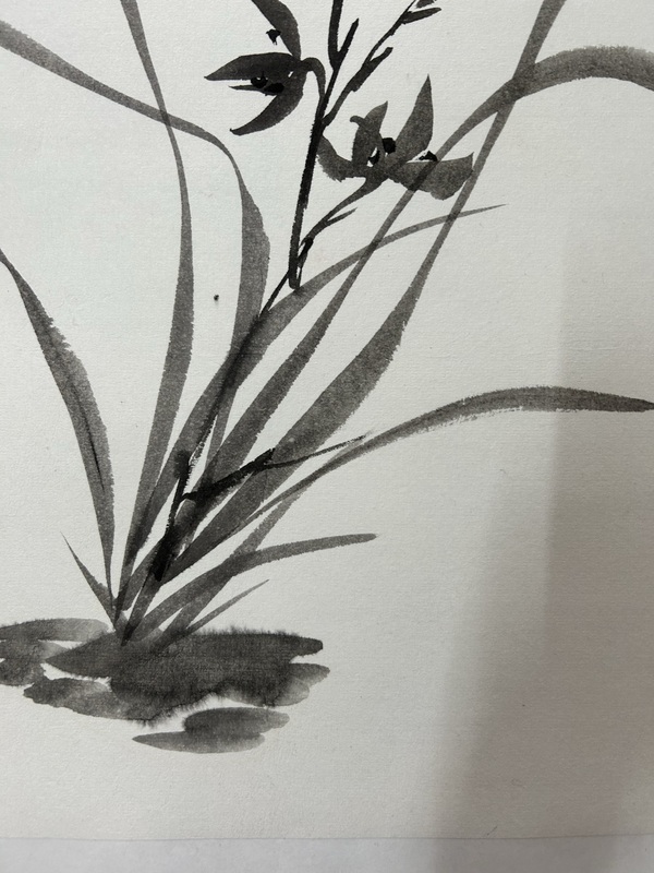 古玩字畫范智新《蘭花》拍賣,當前價格358元