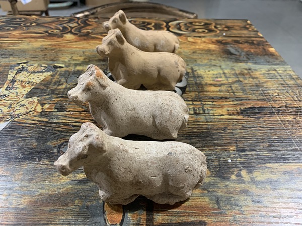 古玩陶瓷唐代臥牛陶塑四頭(精品)拍賣,當(dāng)前價(jià)格3800元