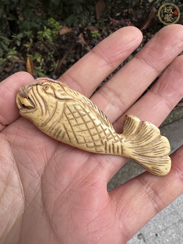 古玩雜項(xiàng)魚化龍吊墜真品鑒賞圖