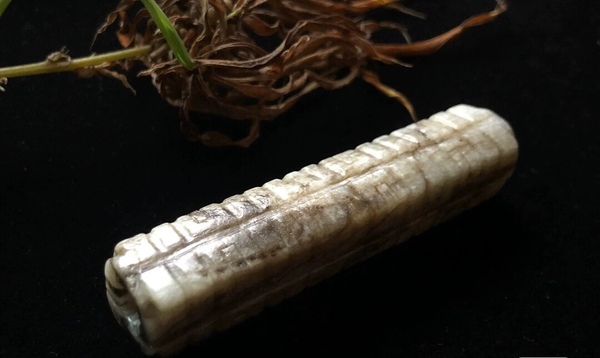 古玩玉器明代和田玉雕“琮式勒”拍賣,當前價格43000元