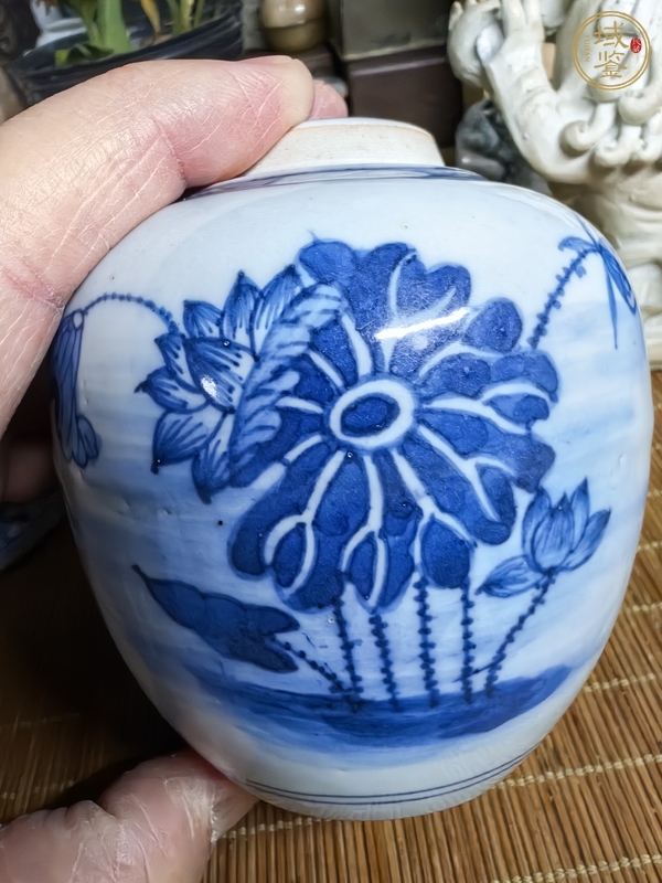 古玩陶瓷青花罐真品鑒賞圖